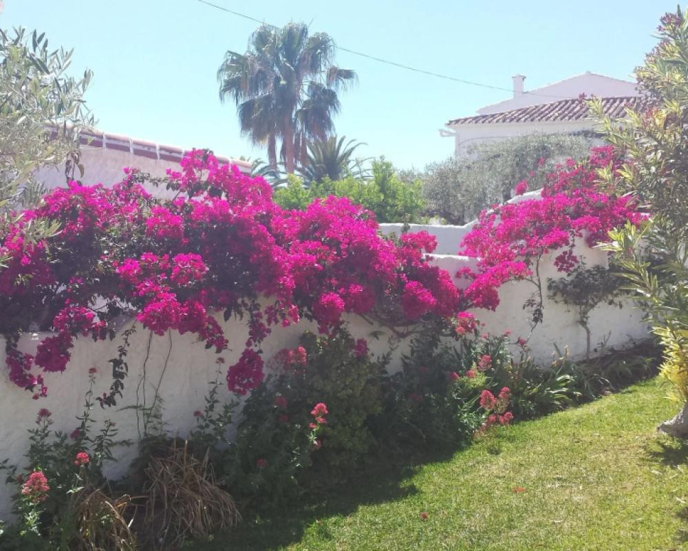 фото El Capistrano Sur