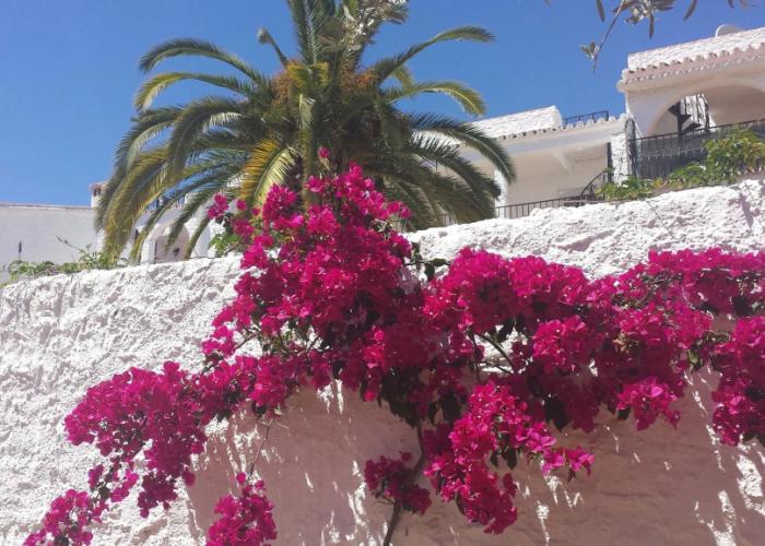 El Capistrano Sur