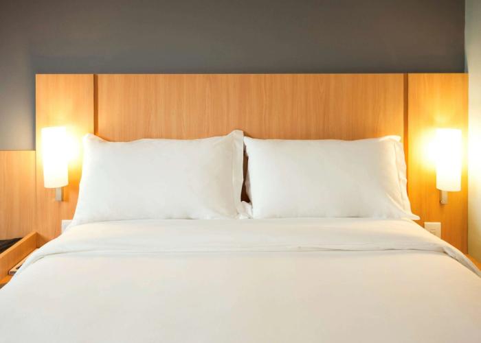 Ibis Cascavel