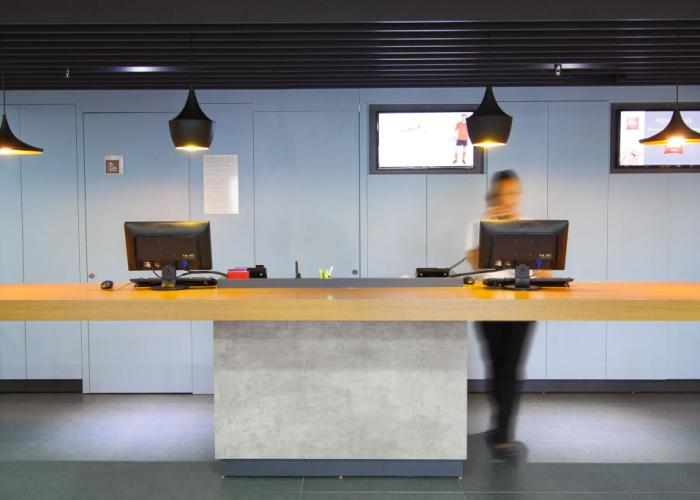 Ibis Cascavel
