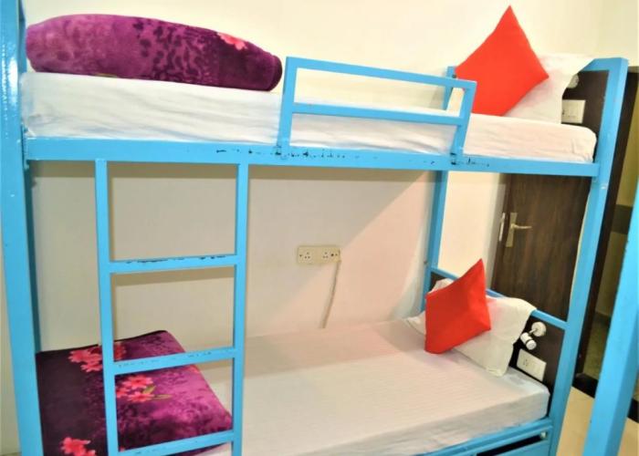 Bedweiser Backpackers Hostel