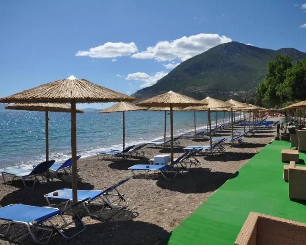 фото Apollon Hotel