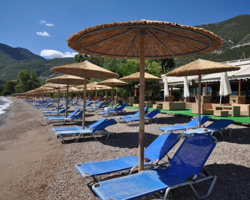 фото Apollon Hotel