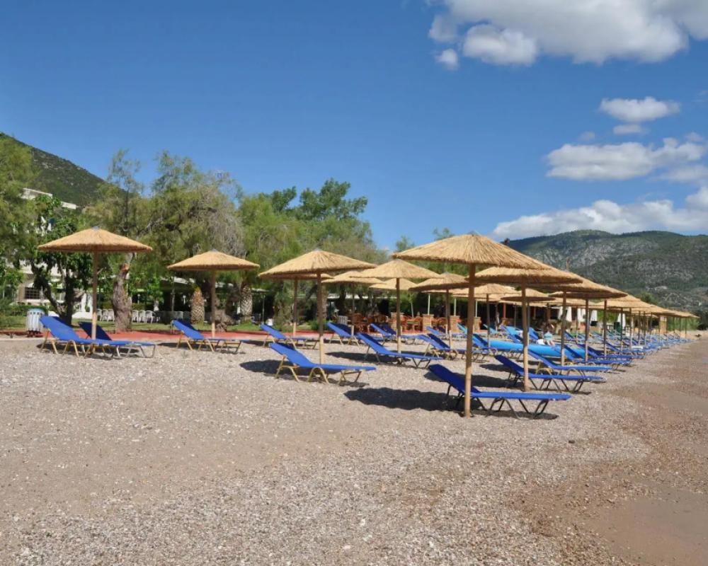 фото Apollon Hotel