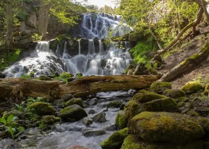 Great Location, Great Price!