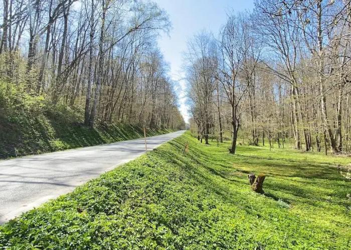 Great Location, Great Price!