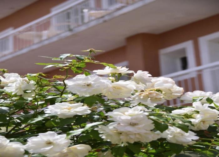 Sirene Beach Hotel - All Inclusive