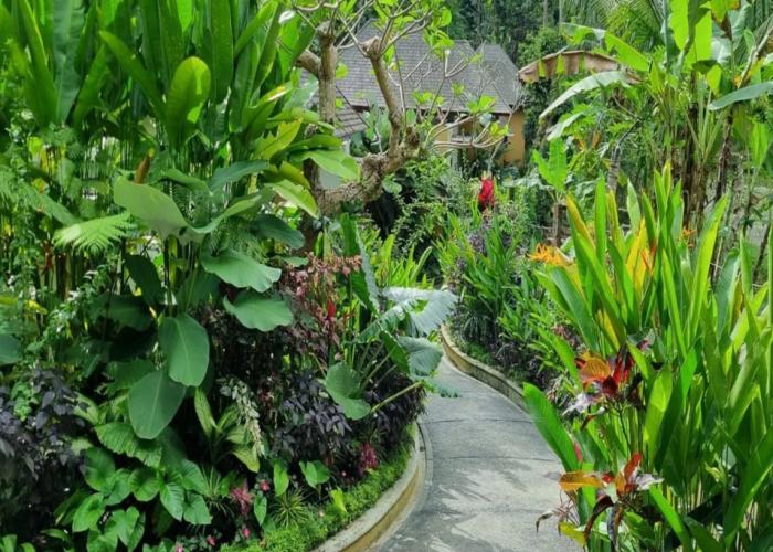 The Sebali Resort