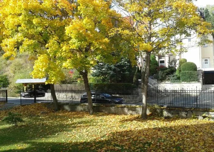 Pension Haus Marga