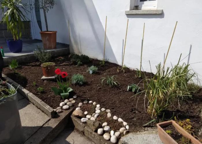 Studio Edeltraud 2022neu