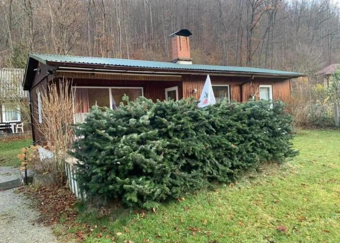 Ferienhaus 