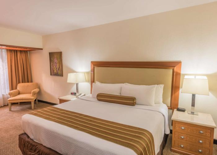 Wyndham Garden Guadalajara Expo