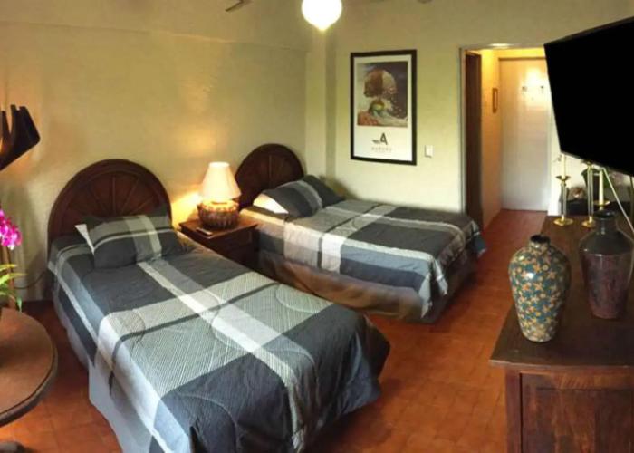 Aurora Suites