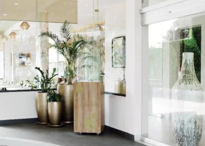 Aurea Hotel and Suites