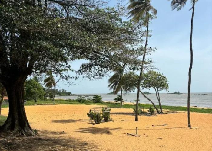 Trésor Caché d'Amazonie Oasis de Calme