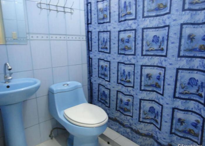 Hotel Saleh