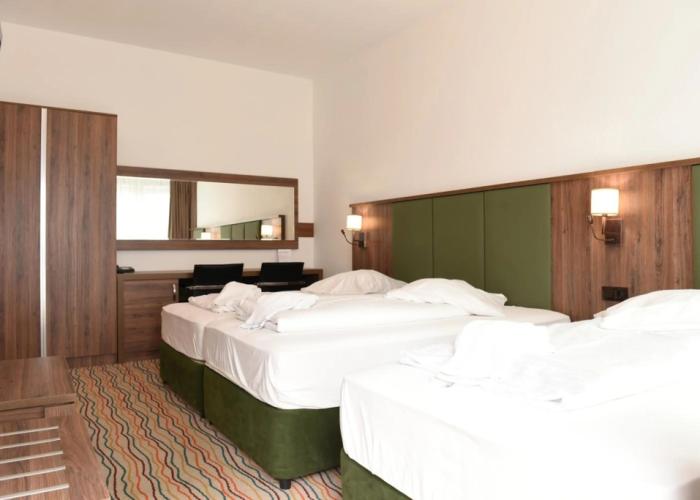 Hotel Olive Inn