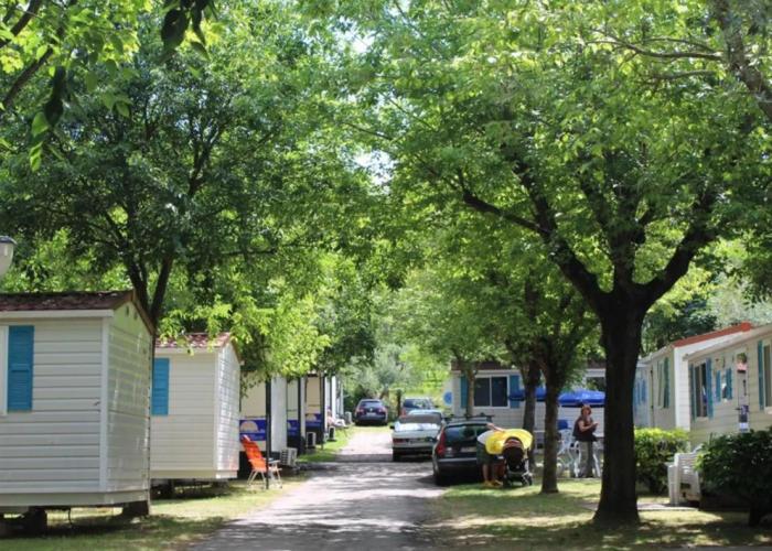 Camping Cisano & San Vito