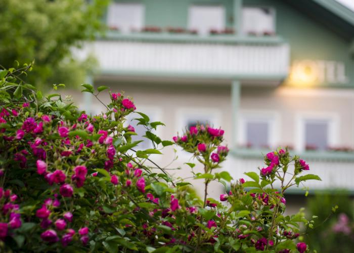 Gartenhotel Salzach
