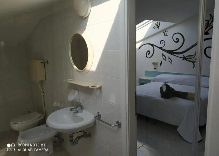 Kristalex Pet Family Hotel