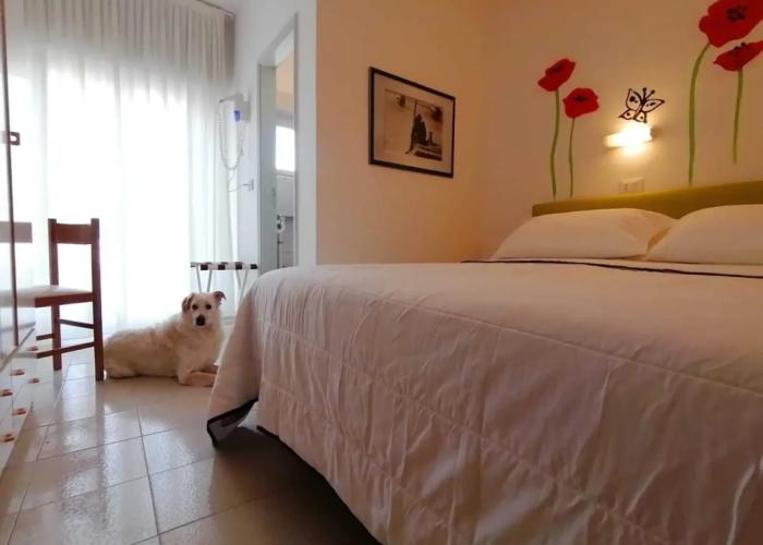 Kristalex Pet Family Hotel