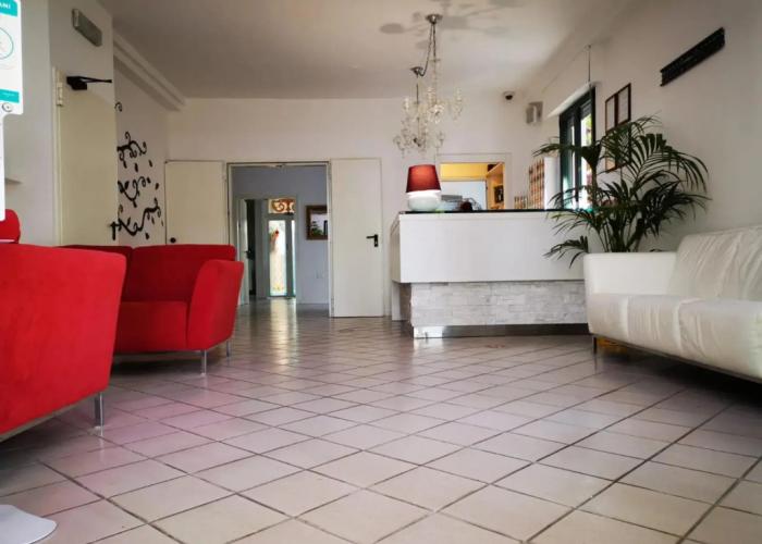Kristalex Pet Family Hotel