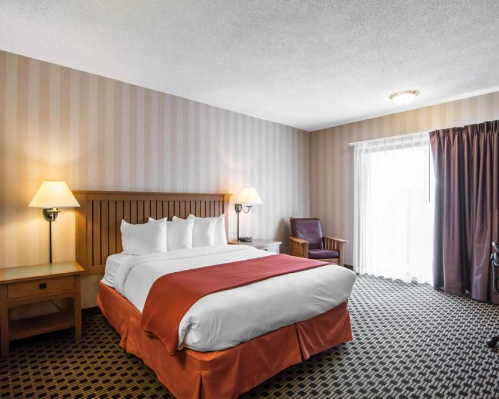 фото Quality Hotel