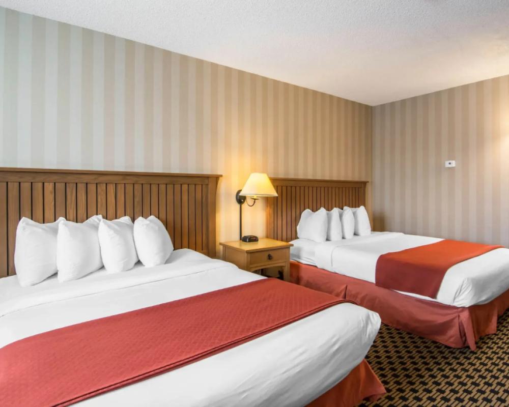 фото Quality Hotel
