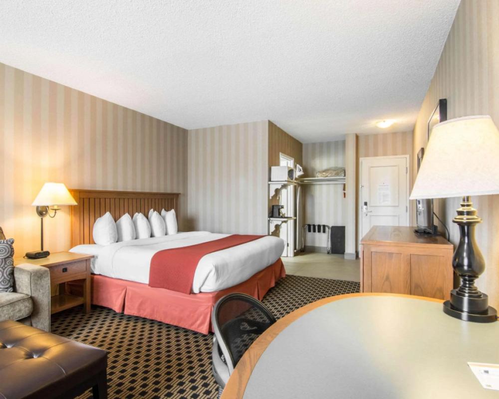 фото Quality Hotel