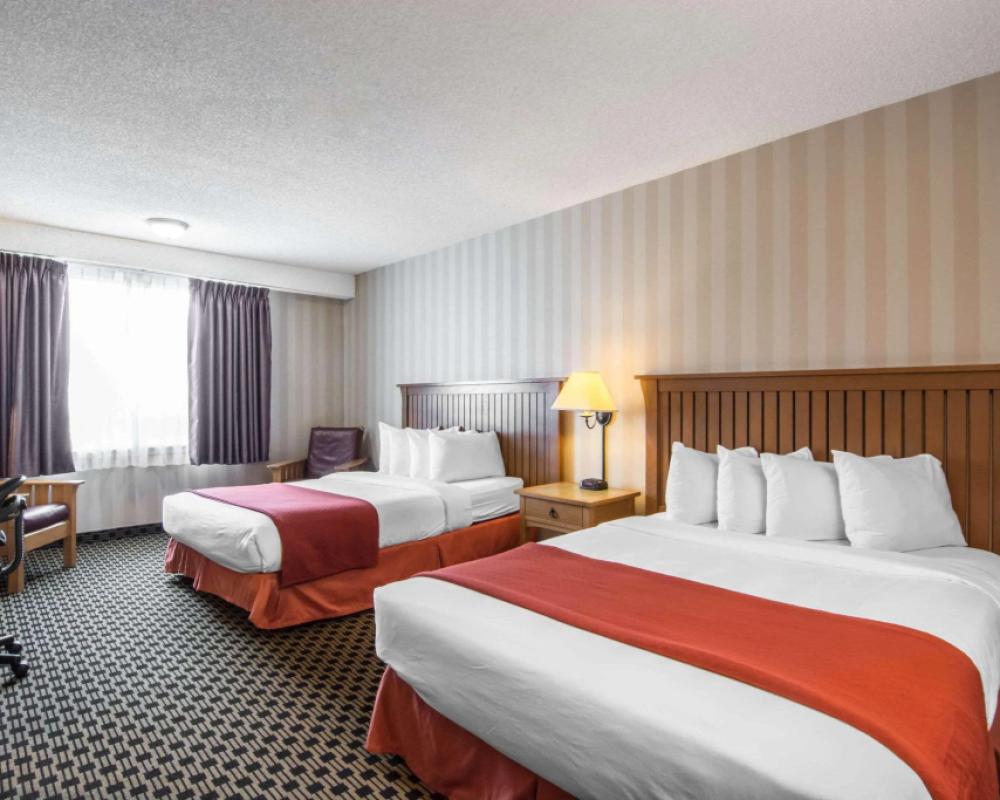 фото Quality Hotel
