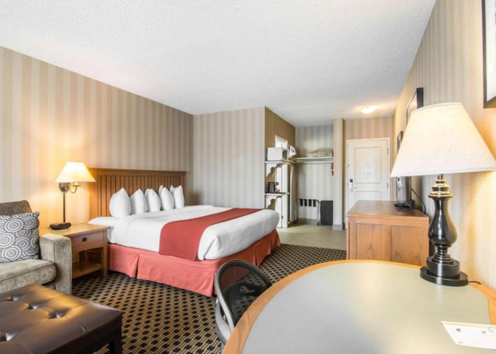 Quality Hotel