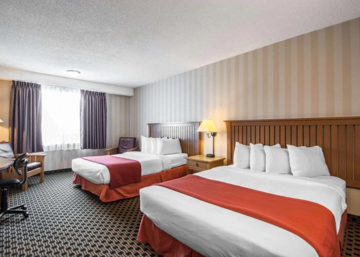 Quality Hotel