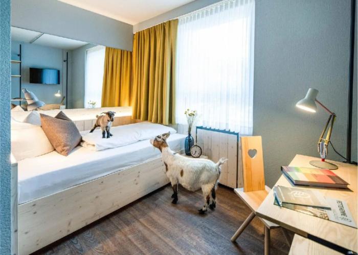 Gartenhotel Fettehenne