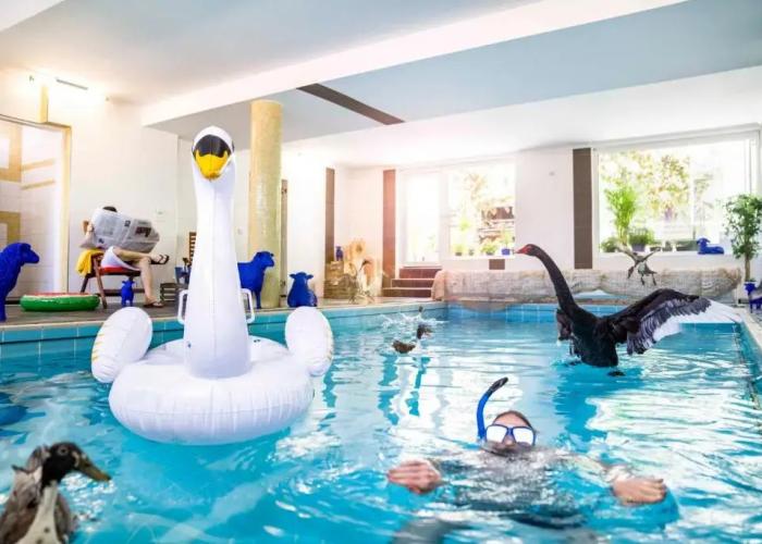 Gartenhotel Fettehenne