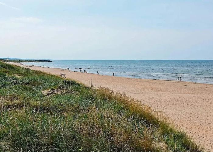 4 Person Holiday Home in Falkenberg