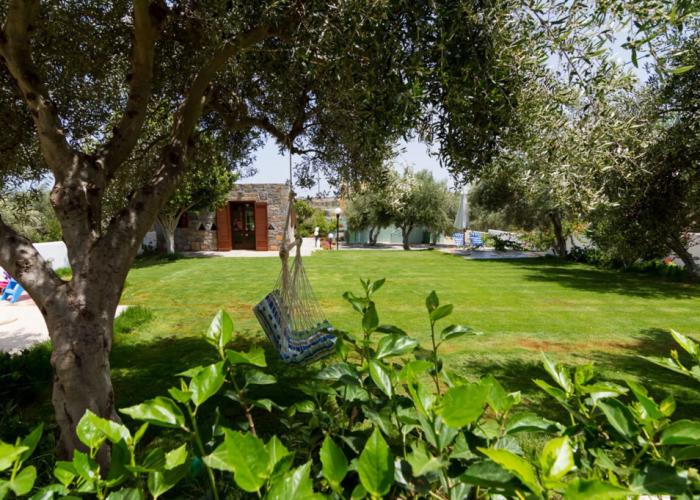 Athena Villas Olive Grove & Estate
