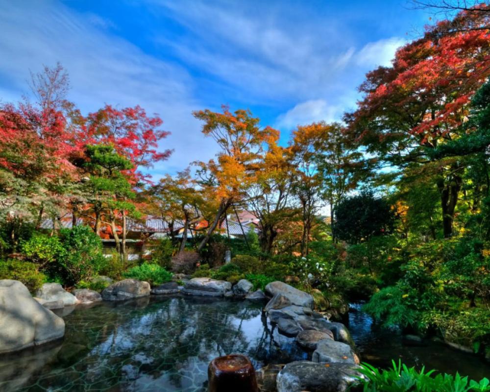 фото Yoshiike