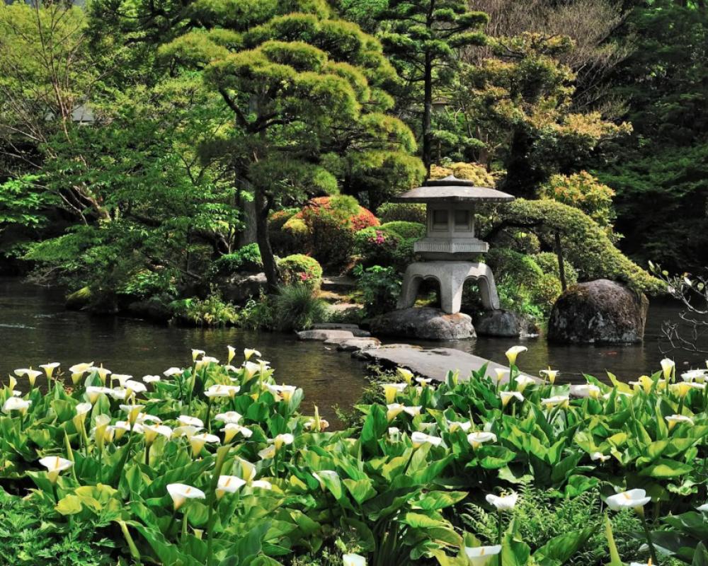 фото Yoshiike