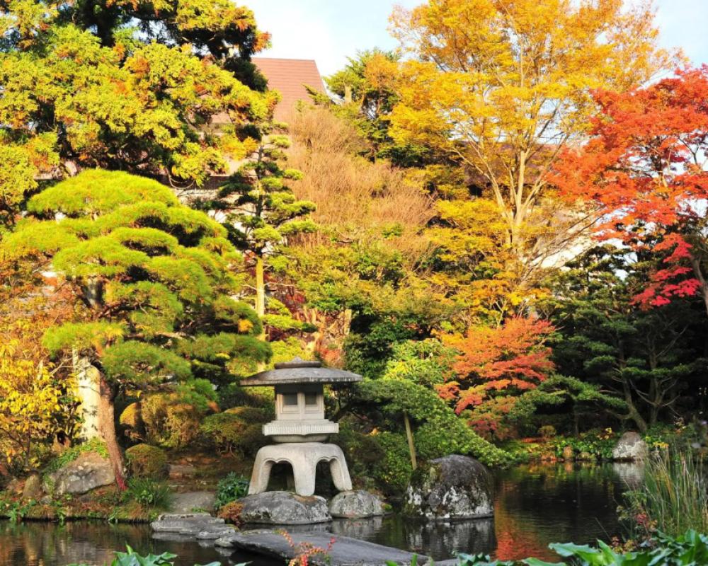 фото Yoshiike