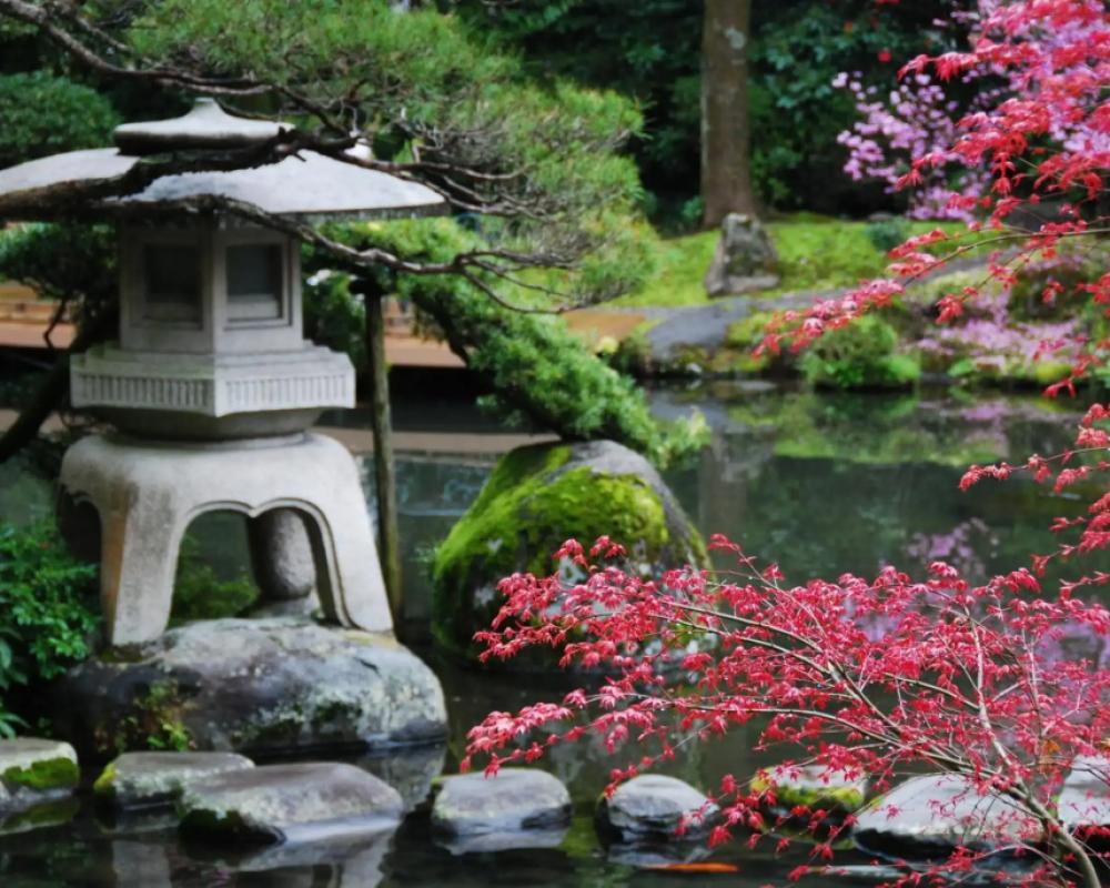фото Yoshiike