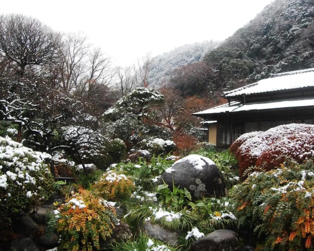 фото Yoshiike