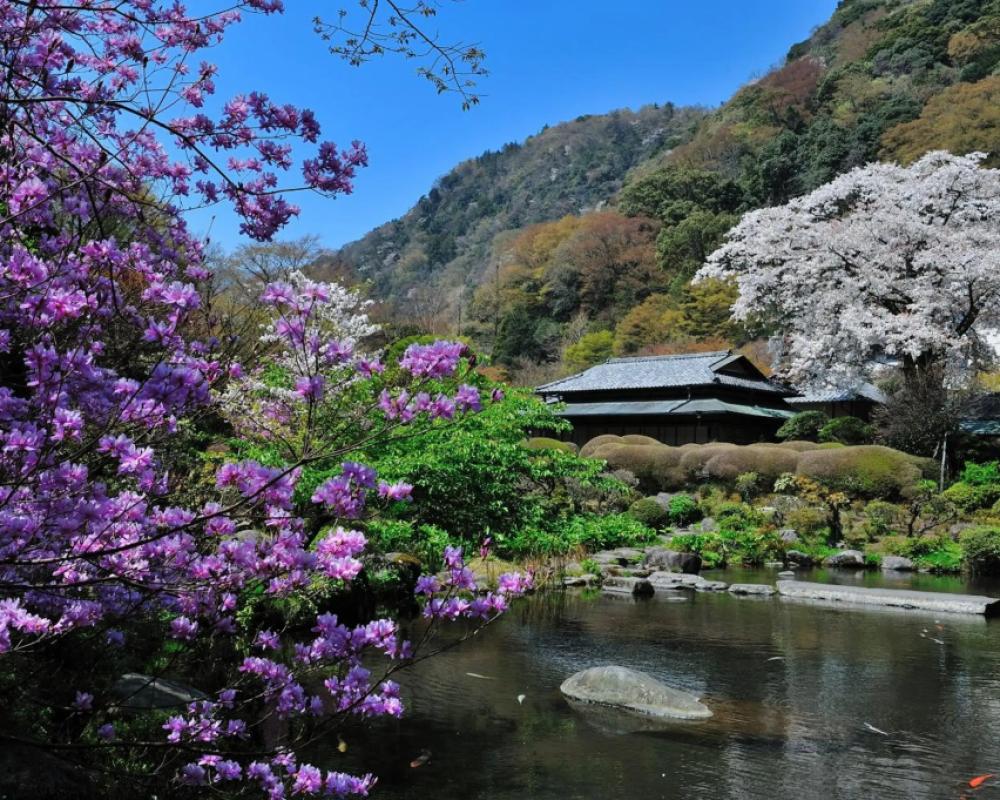 фото Yoshiike