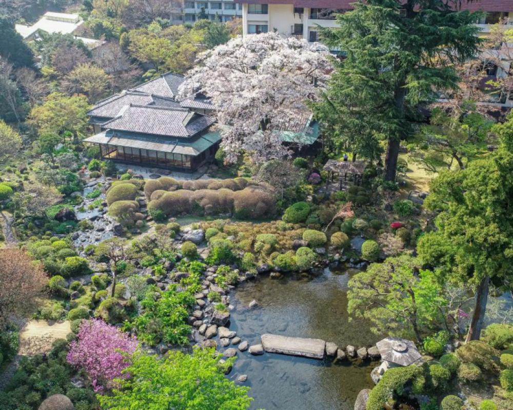 фото Yoshiike