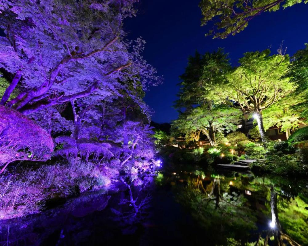 фото Yoshiike