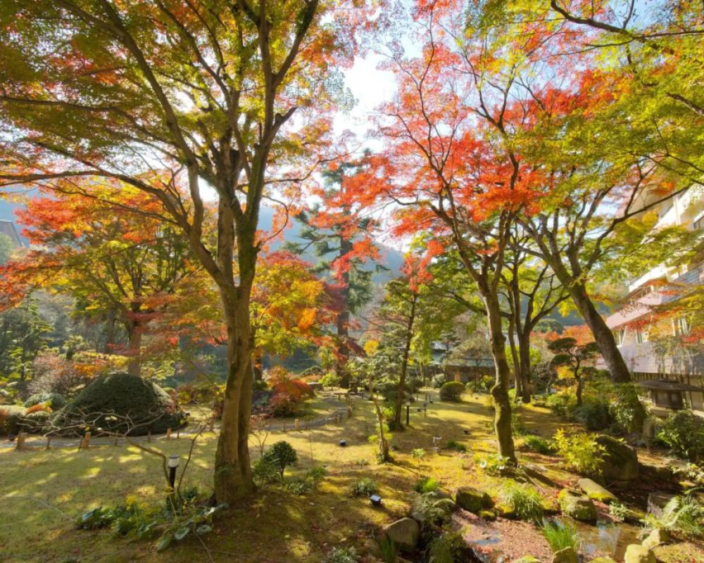 фото Yoshiike