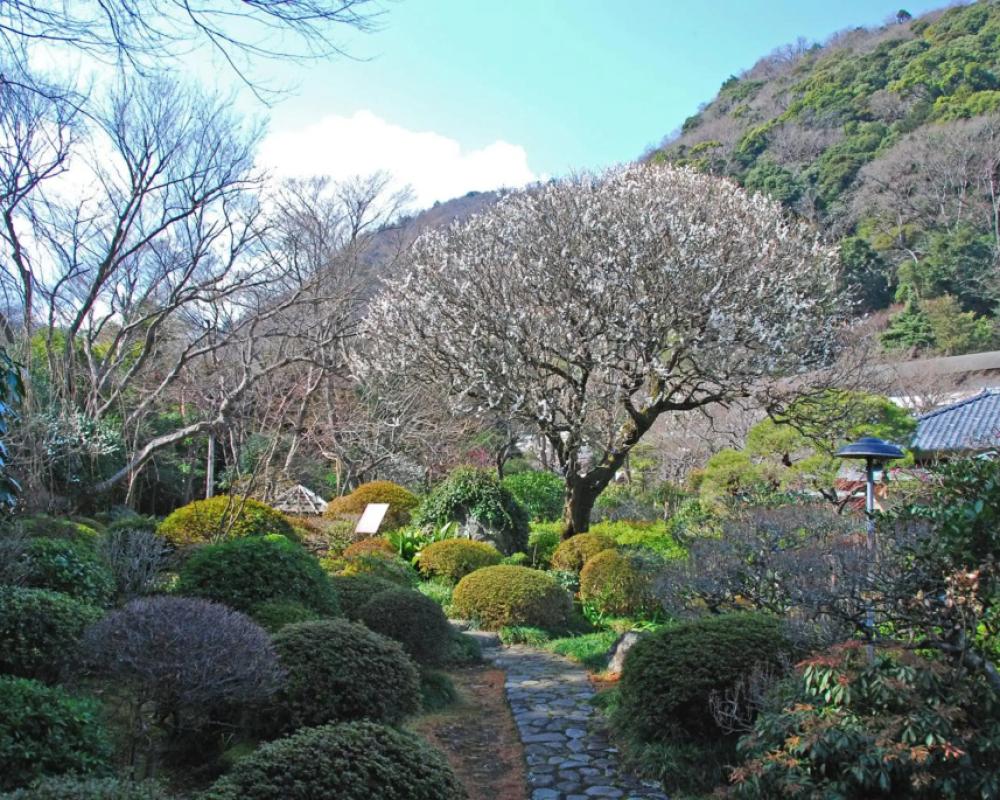 фото Yoshiike
