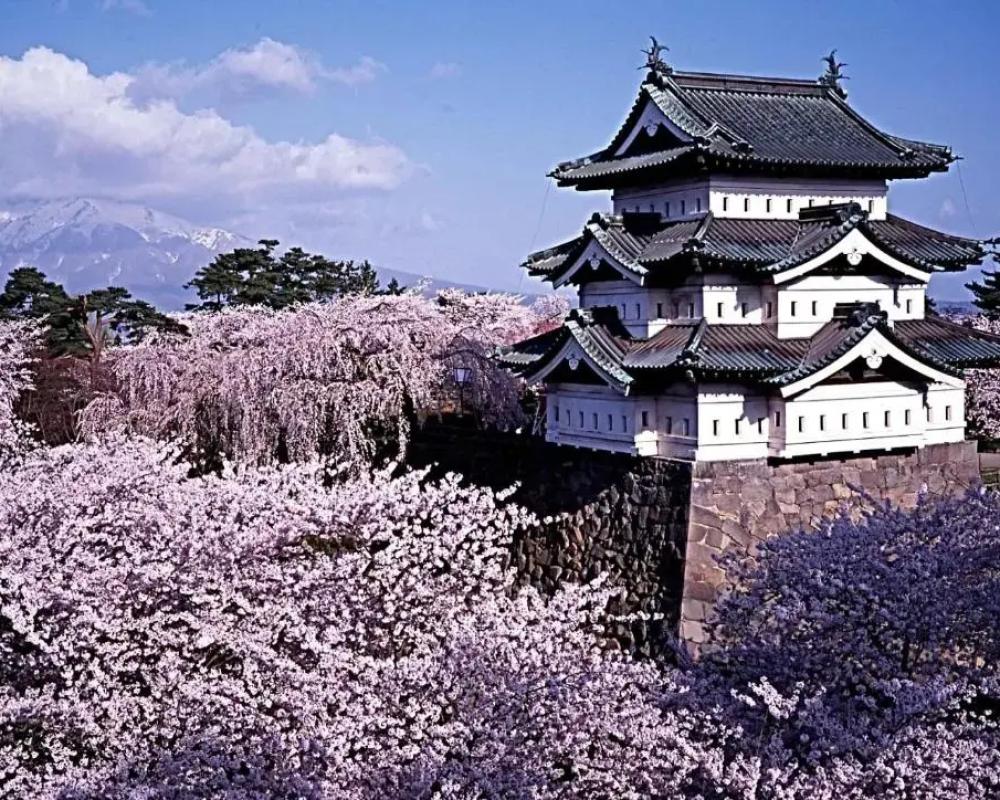 Rockwood Hotel & Spa