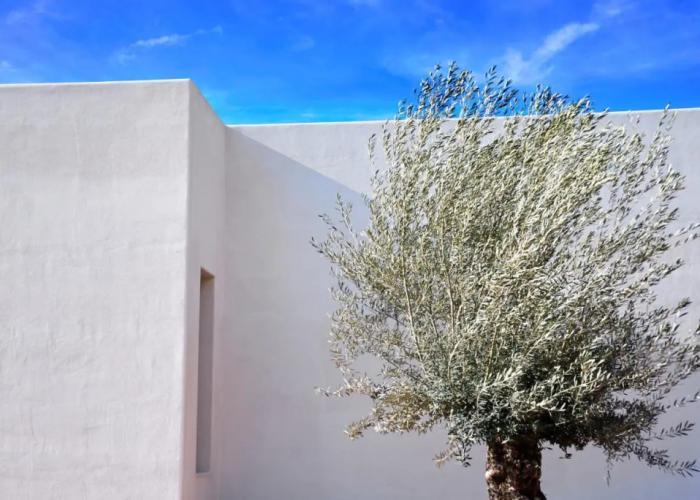 Hotel Boutique Mi Almazara