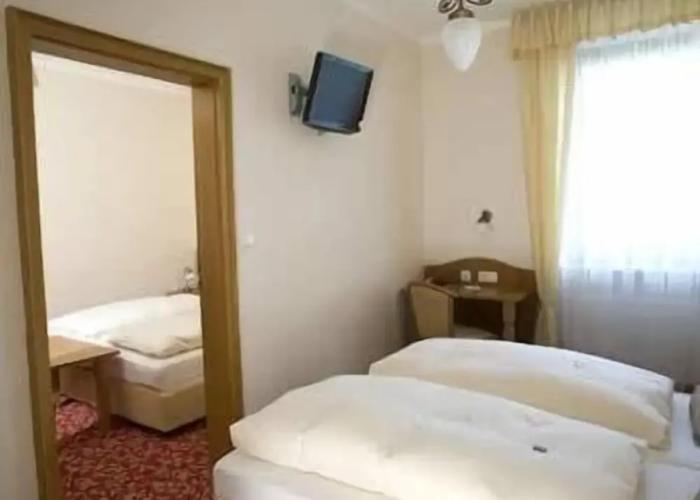 Alpina Hotel