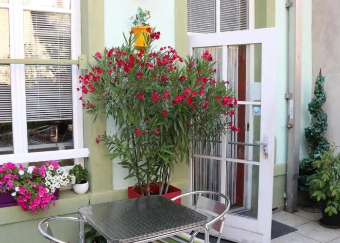 Hotel Des Oliviers